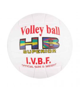 Volleyball Professional Quality