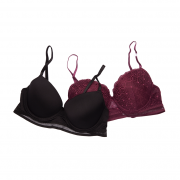 PACK OF 2 LACE MESH & NETTED ELASTIC PUSH-UP BRAS