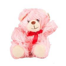 High Quality Hairy Stuffed Teddy Bear For Her - 12 Inch - Pink