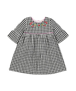 gingham embroidered dress