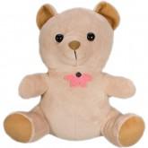 KJB Security Products C1250C Hardwired Teddy Bear Covert Color Camera