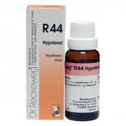 Hypotension Drops -  R-44- 22ml