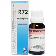 Pancreas Drops -  R-72- 22ml