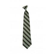 The Smart School Boys Uniform Light Green and Stripes Tie