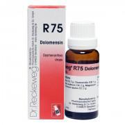Dysmenorrhea Drops -  R-75- 22ml