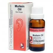 Mullein Oil -  Ear Drops-  20ml